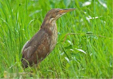 b39ae0a2811907f3bb73368d10d03d2f