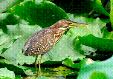 b80e6c20c6495dace8468e7f5bb3d9bd