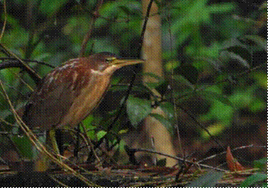 0143b9cfbe8085bad066555543d72ac2