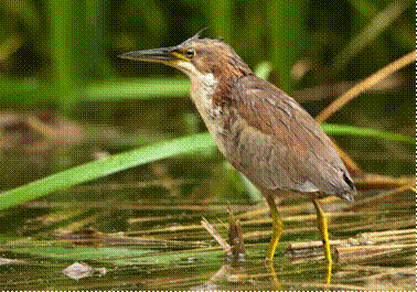 6ea426392a195f385431093339a5578a