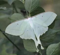 46d945070a2adfd68c3a546f53b900db